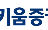 3억