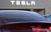 테슬라,유럽,머스크,시장,차량,중국,지난달
