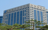 대표,설계사,본격,금감원,구축,대한,내부,보험