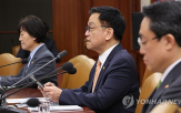 미국,부총리,변동성,외환시장,정부,확대,최근