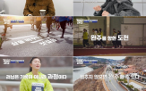 마라톤,러너,초짜,도전,출신