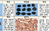 식용,임산물