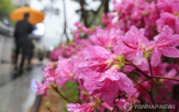 5일,전국,산지