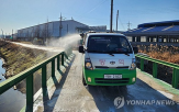 산란계,농장,고병원성