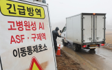 농장,고병원성,청주