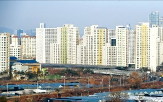 과천,집값,신고가,지역,지정,지난달