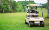 전동카트,조사,업체,골프장
