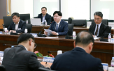 자본시장,교수,추진,정책,선진,기업,과제,변화