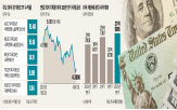 미국,엔화,인버스,수익률,금리,국채,가치,장기채,올해,상품