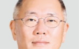 회장,공동,방안,미국,글로벌,자동차산업,현대차