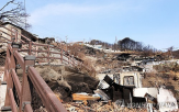 산불,피해,지원