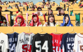 야구장,구단,여성,야구,시즌권,구매,비율,티켓,판매,관람객