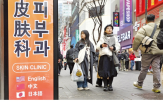 피부과,환자,외국인,관광객,한국,관계자,규모,뷰티