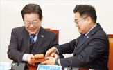 대표,민주당,대선,출마