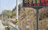 시스템,야생동물,포스코,운전자,사고,동물