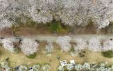 기온,울산,오전