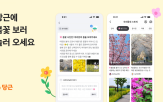 봄꽃,공유,명소,당근