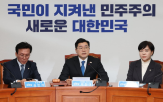대통령,대행,윤석열,권한대행,최고위원