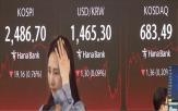 증시,관세,국내,전망,불확실성