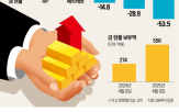 시장,자산,자산가,안전자산,변동성,채권,고액