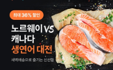 연어,노르웨이,로켓프레시