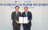 지역,지식재산