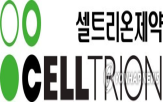 위반,정지,의약품