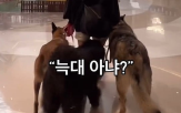 쇼핑몰,입마개