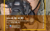 작가,곤충,초대작가,인도네시아