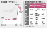 전환,주가,보통주,테마주,투자자