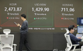 평균,시가배당률,법인,실시,지난해,배당,현금배당