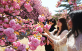 경주시,공간,불국사공원,공원