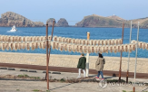오징어,어획량,생산량,감소,지난해,연근해,이후,수온,제주
