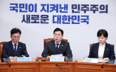 권한대행,민주당,최고위원,대통령