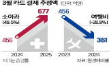 카드,업종,소비,결제액,대비,전년,결제,추정액,감소,동기