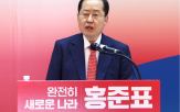 민주당,이재명,강혜경,김태열,불법