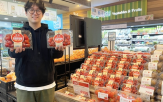 토마토,재배