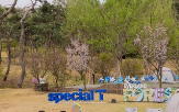 SK텔레콤
