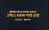 상장,프로젝트,이번,팍스,기반,메인넷