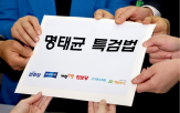 출국,홍준표,대구시,명태균특검법