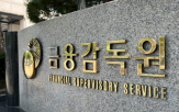 지난해,대비,파생결합증권,전년,지수