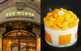 성심,인기,망고시루,매출,케이크