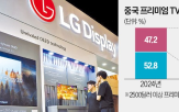 중국,시장,프리미엄,LG디스플레이,패널,흑자,전환