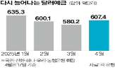 달러,잔액,예금,17일,기준