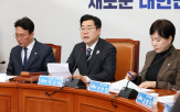 협상,내란,민주당,권한대행,대통령,대선,특검법