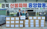 지원,산불