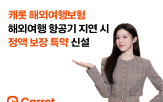 지연,특약,보상