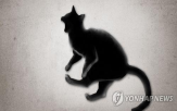고양이,선고,범행,분양