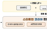 펀드,스타트업,조성,규모,올해,벤처투자