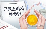 소비자,보호,금소법,금융상품,동일,중시